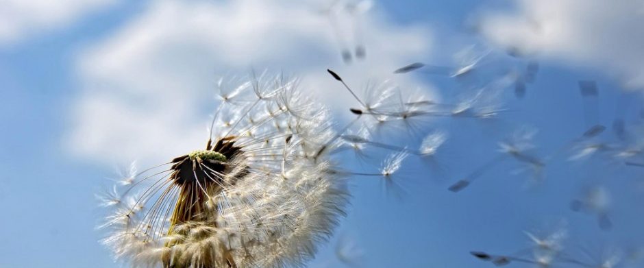 Intensive Short Term Dynamic Psychotherapy (ISTDP)
